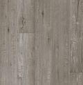 657 Gris