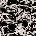 18 bianco nero