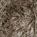 31 marmotta