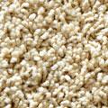 210 beige medio