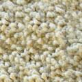 1603 beige chiaro