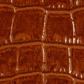 Coccodrillo 43