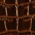 Coccodrillo 44