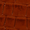 Coccodrillo 480