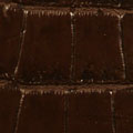 Coccodrillo 496