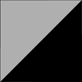 T2