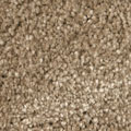 117 beige