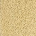33 beige