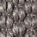3590 tortora