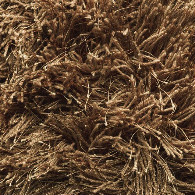 Twin Rug
