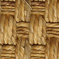 M. Grass Caucaso