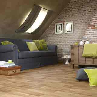 Natural collection outlet
